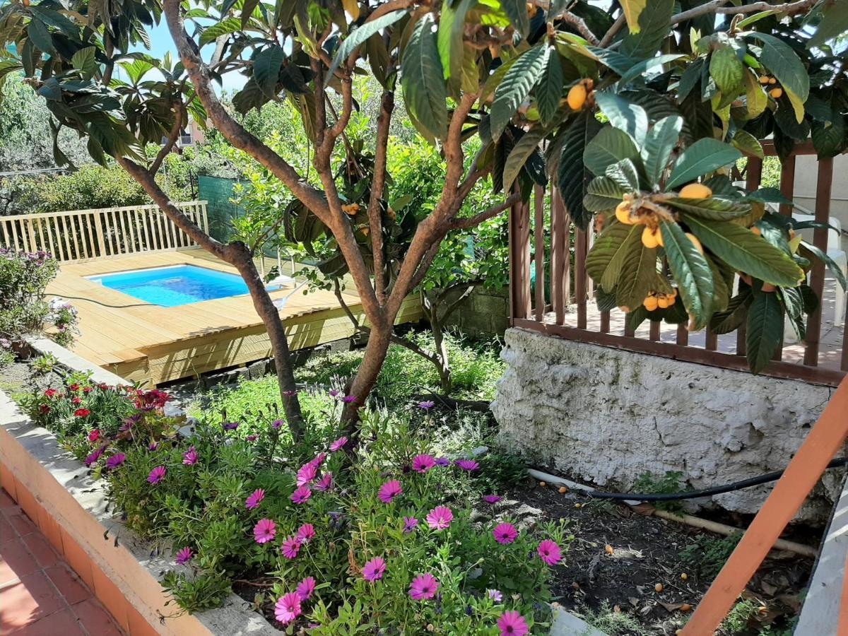 Carrubo - Giardino In Citta Villa CTA Eksteriør billede